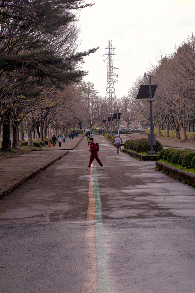 運動公園