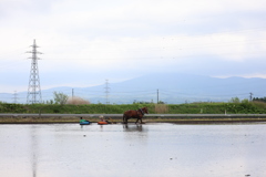馬耕