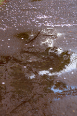 雨上がり