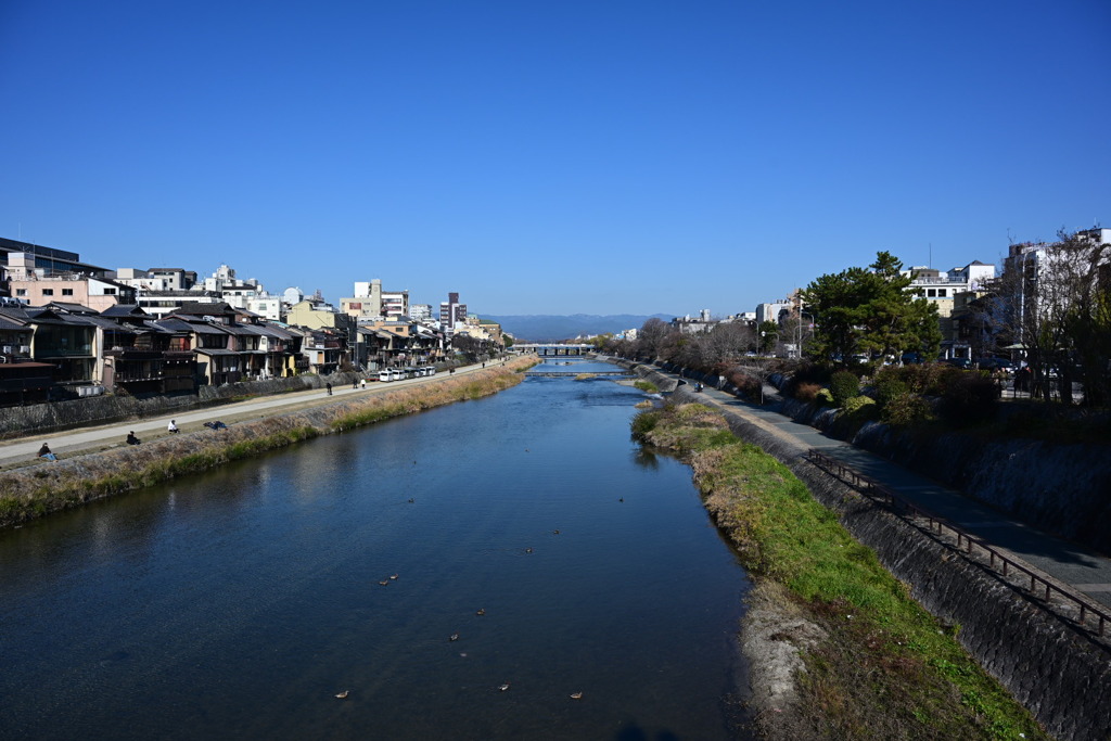 青のグラデーション(鴨川)
