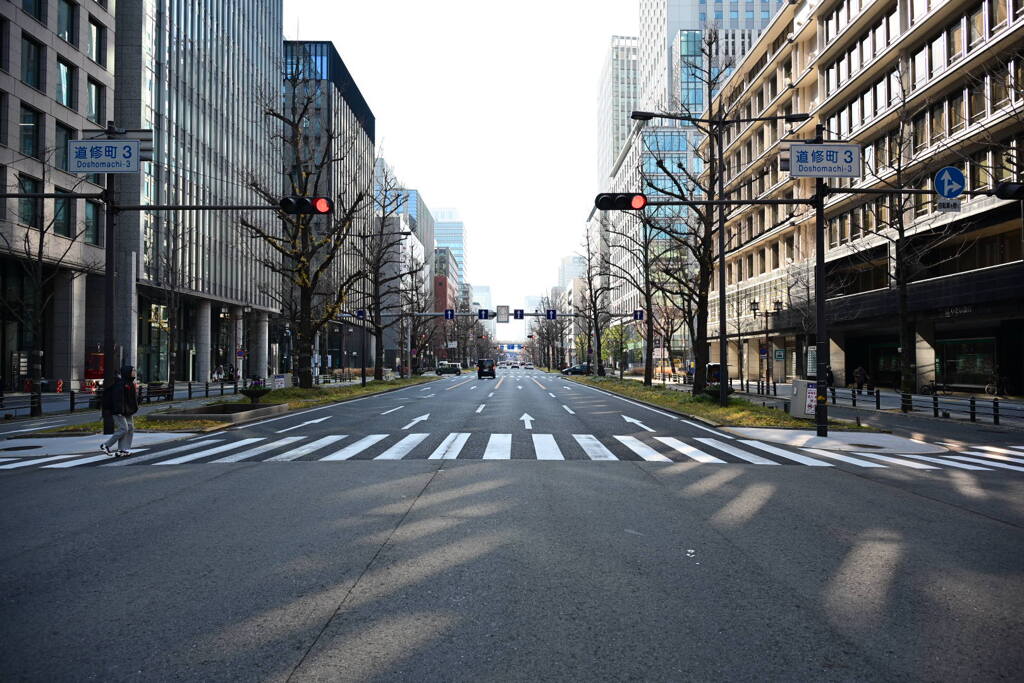 風通る冬の御堂筋