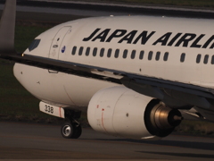 P4262532
