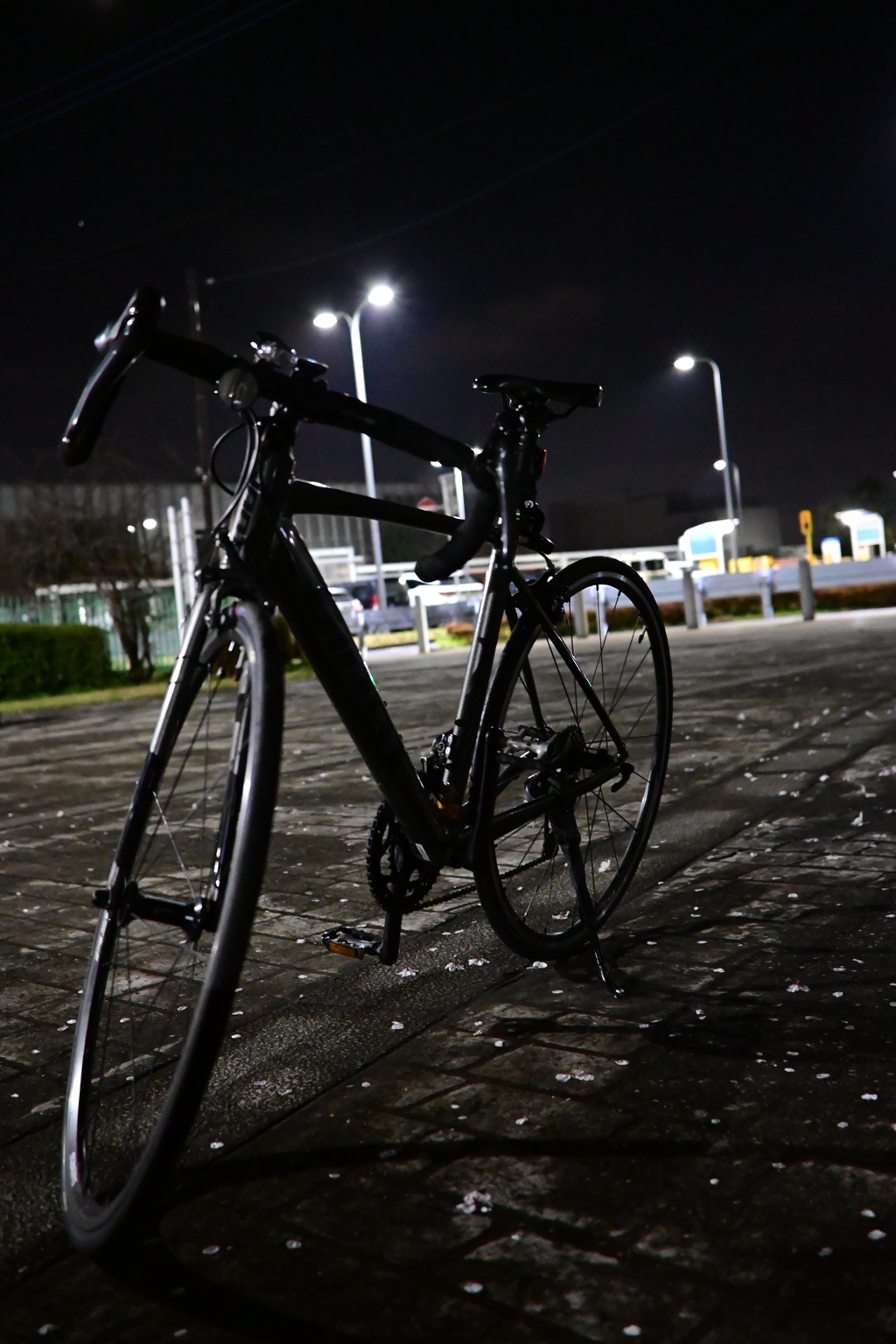 夜ライド