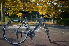 朝活ロードバイク