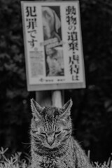 犯罪です。