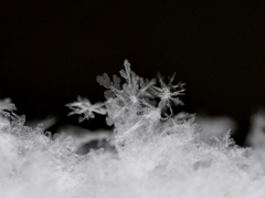 雪の結晶