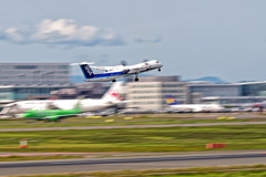 ANA WINGS/airborne 