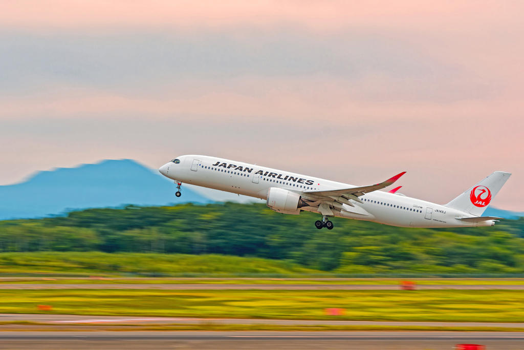 JAL/千歳rising