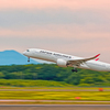 JAL/千歳rising