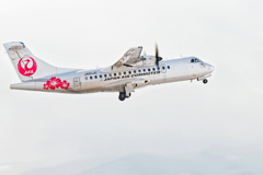 JAC/冬空に咲く花