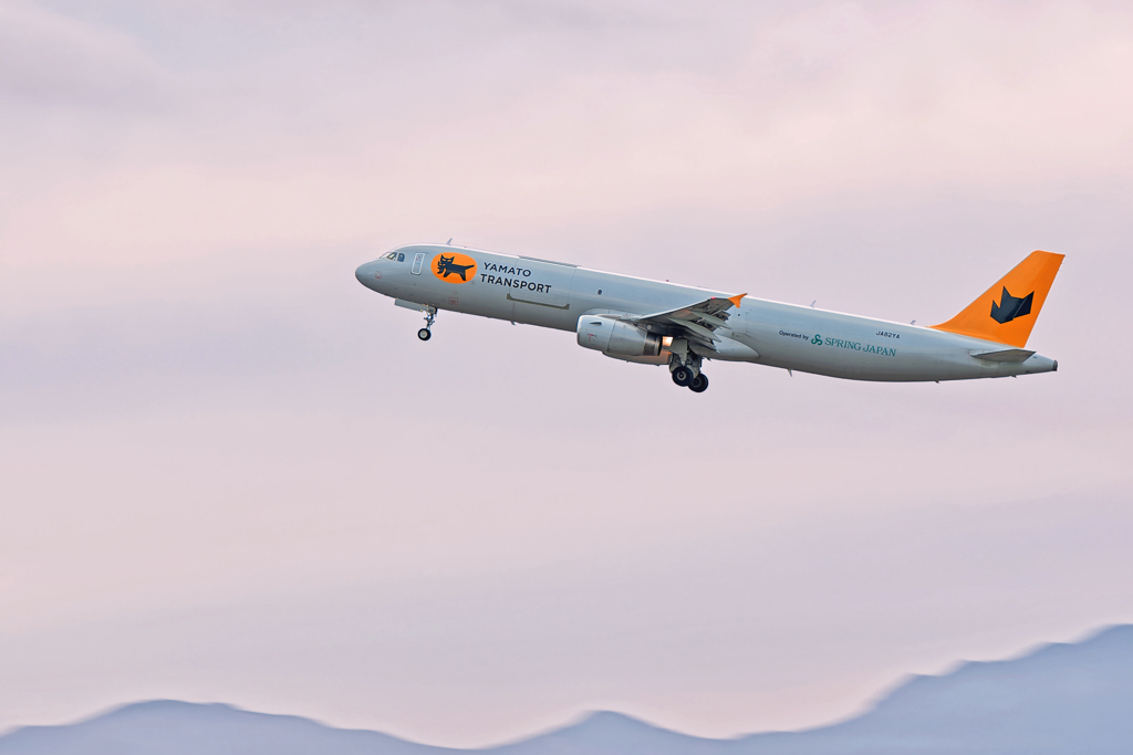 猫あがるฅ^•ﻌ•^ฅ