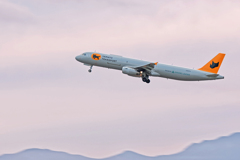 猫あがるฅ^•ﻌ•^ฅ