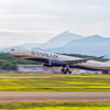 STARLUX/大谷翔平場外ホームラン記念
