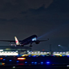JAL/サーチライト