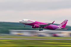 Peach Aviation/airborne