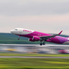 Peach Aviation/airborne