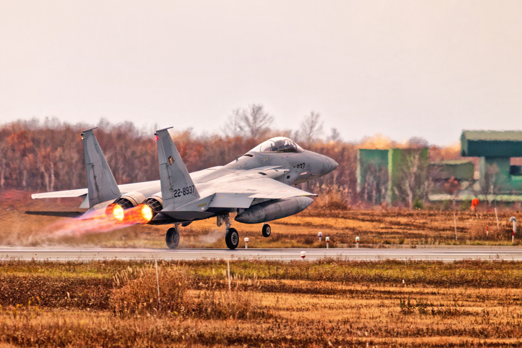 F-15J/冬枯れの中をゆく