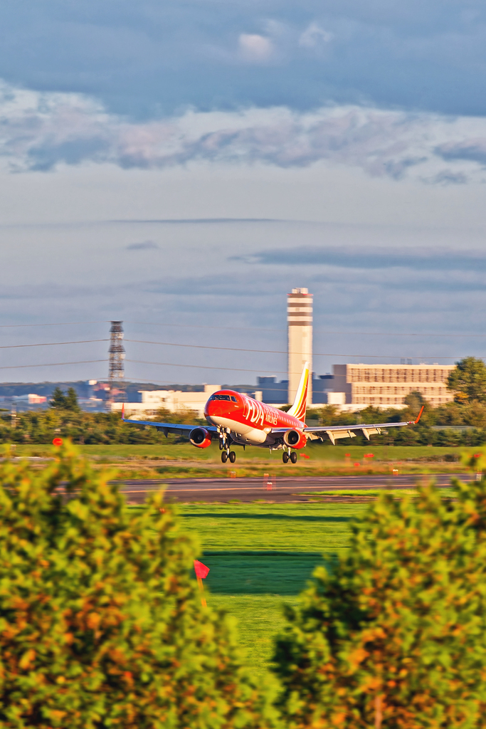 FDA/酉一つ時の到着