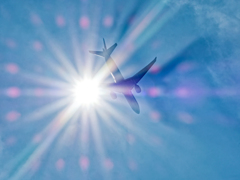 Cygnus/空に咲く大輪の華