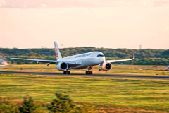 JAL/landing