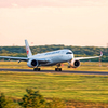 JAL/landing