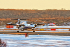 ANA WINGS/夕陽のDash 8