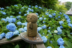紫陽花を背にした微笑み地蔵