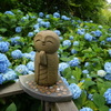 紫陽花を背にした微笑み地蔵