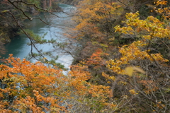抱返り渓谷　晩秋の渓谷