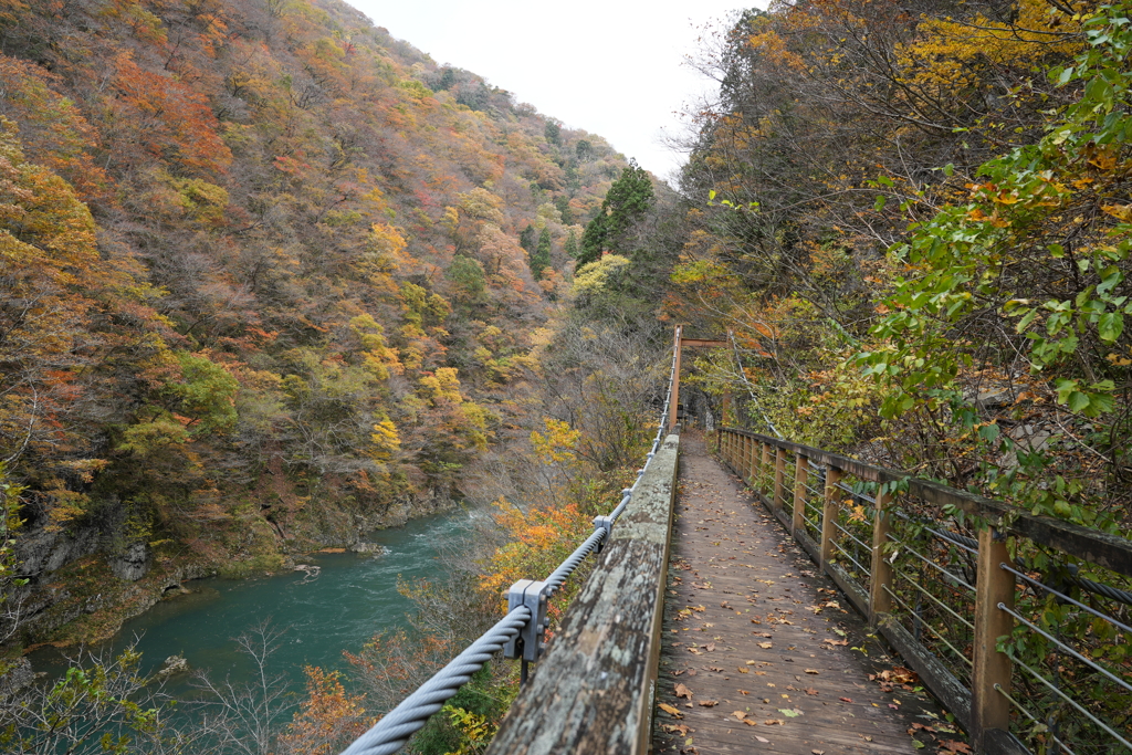 抱返り渓谷　遊歩道にて