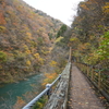抱返り渓谷　遊歩道にて