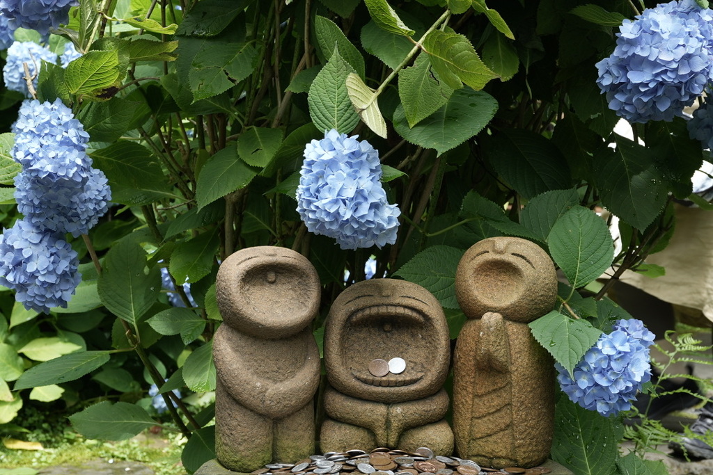 紫陽花と微笑みすぎのお地蔵様