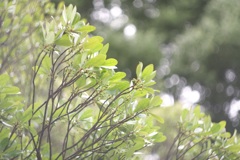 ぐるぐるぼけにならない