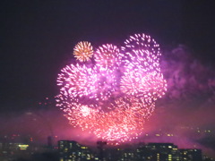万博夜空がアートになる日 2022
