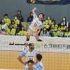 SVリーグ　日本製鉄堺ブレイザーズ vs 東レアローズ静岡