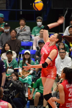 SVリーグ　大阪マーヴェラス vs デンソーエアリービーズ