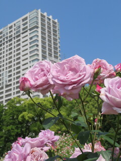大阪・靱公園