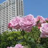 大阪・靱公園