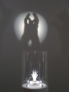 Expo2025  大阪・関西万博