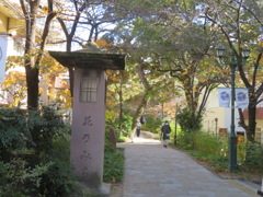 宝塚・花のみち