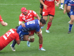 リーグワン　静岡ブルーレヴズ vs 神戸スティーラーズ