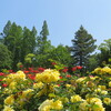 大阪・靱公園