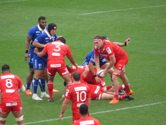リーグワン　静岡ブルーレヴズ vs 神戸スティーラーズ