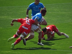 リーグワン　神戸スティーラーズ vs 東芝ブレイブルーパス東京