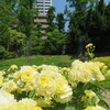 大阪・靱公園