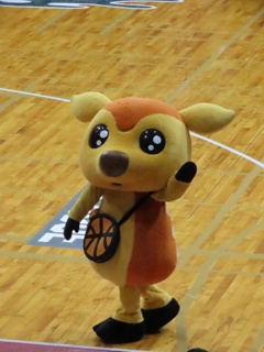 Bリーグ  バンビシャス奈良 vs福井ブローウィンズ ②