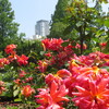 大阪・靱公園