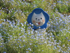 大阪まいしまネモフィラ祭り