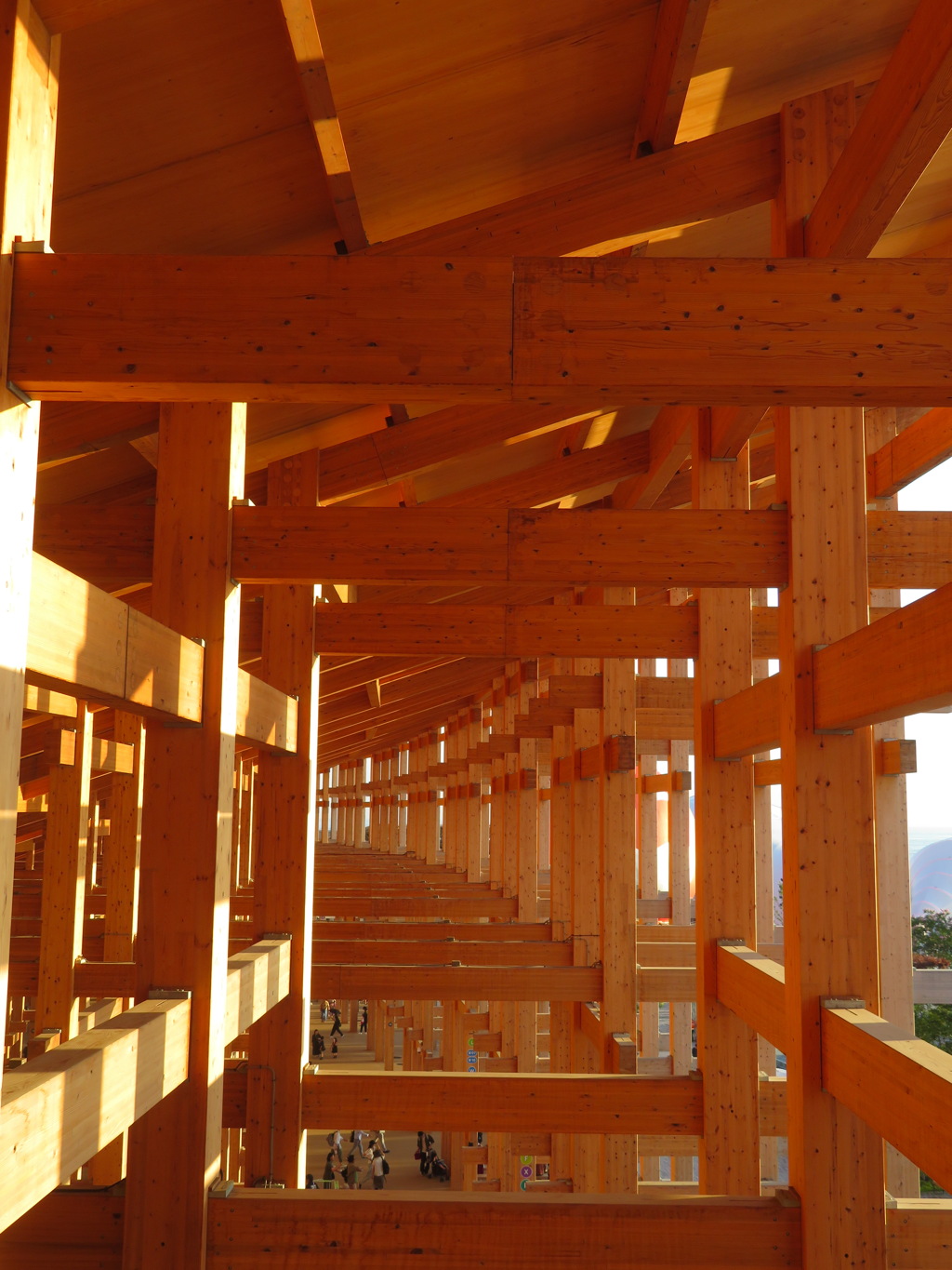 Expo2025  大阪・関西万博