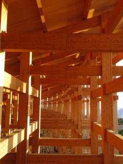 Expo2025  大阪・関西万博